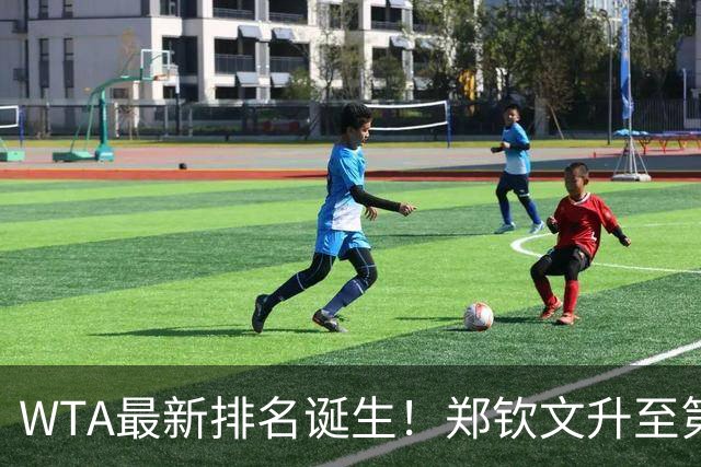 WTA最新排名诞生！郑钦文升至第22，施晗狂升42位，郭涵煜升51位
